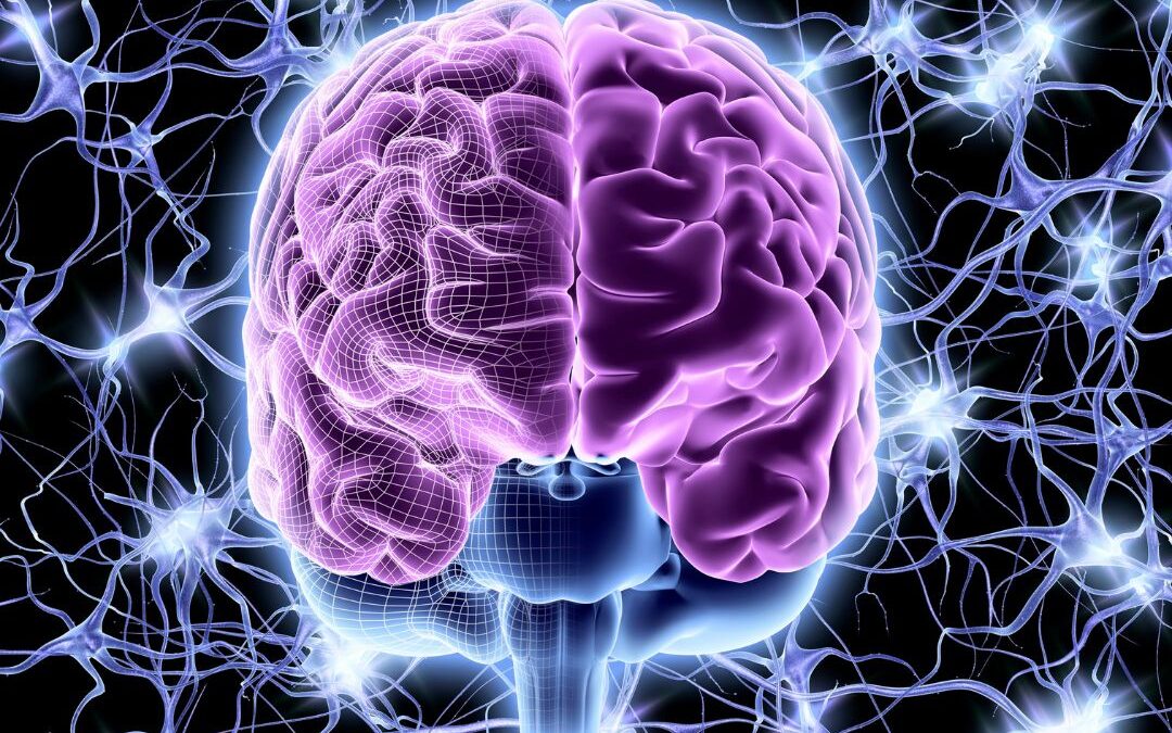 Meditation für Anfänger - Gehirn zeigt wissenschaftliche Veränderungen durch Achtsamkeit